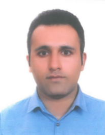 مجید زارعی