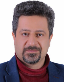 مجتبی انصاری شهیدی