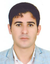 رسول برقی