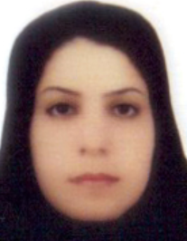 اعظم پرواز