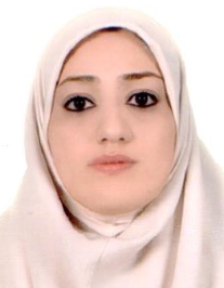 هانیه سیدعامری
