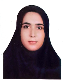 مهشید صالحی لنجی