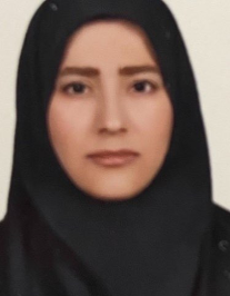 نسیبه سلطانی