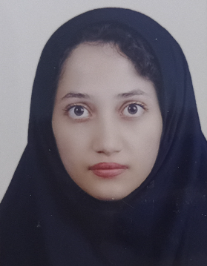 زهرا همتی