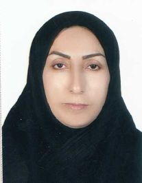 صدیقه خان احمدی