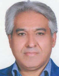 محمد عرب عامری