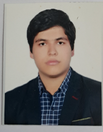 محمد امین ادیبی