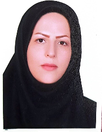مدینه بهمنی زرگری