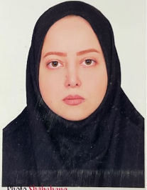 سیده نگار معماری