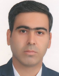 امیر محمودی