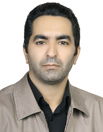 محمد فتحی وانسفلی