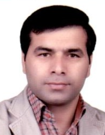 امیر محمدی راد