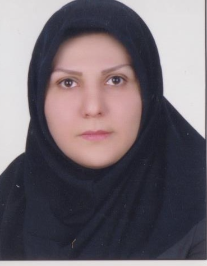 وحیده آقایی