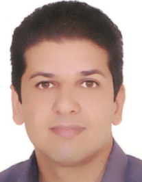 رضا هویلچ