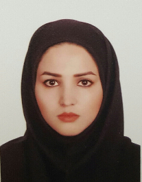 سولماز دبیری