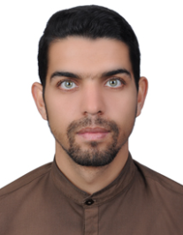 میثم محبی کیا