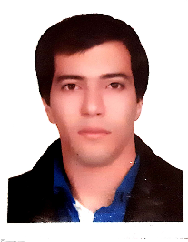 پارسا محمدی