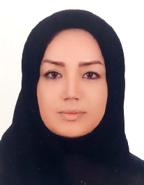 سیده فرشته نقیبی ارسی