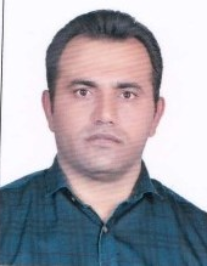 علیرضا سلجوقی