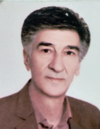 محمدعلی میرزائی