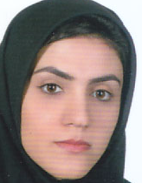 سیده نرگس نبوی