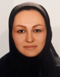 فائزه شیخ الاسلامی