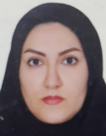سیده ربابه اندرواژ
