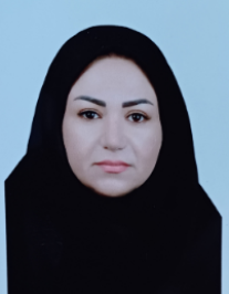 محدثه حسینی