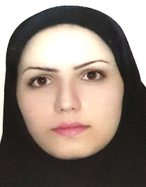 مریم عبدالملکی