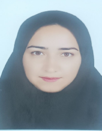 مرضیه سادات حسینی