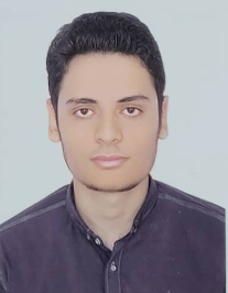 مجتبی کریمی
