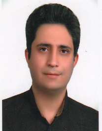 محمد حسن شهلائی