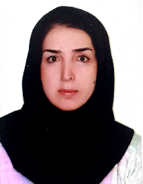 پروین محمدی حسینی نژاد