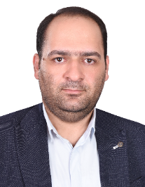 هادی محمدی