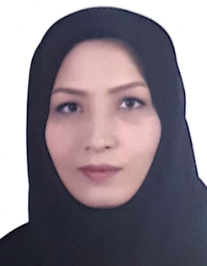 ویدا فرزانه اردبیلی