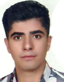 ارشد هوشمندی