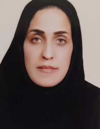 فتانه نجم سهیلی