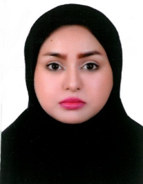 مینا میر