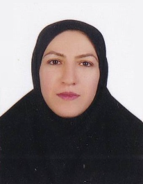 مریم جعفرپورکامی