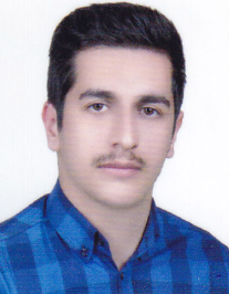 رضا شیبانی فر