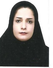 نرمین قادری