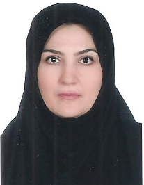 هنگامه معماری