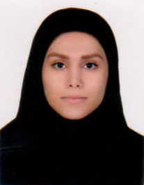 هستی قانونی نمین