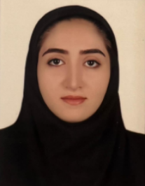مینا کرمی زاده