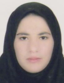 مدینه مدنیان نسب