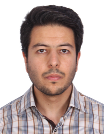 نیما عارفی
