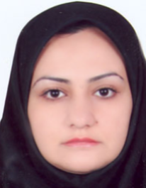هستی نظری