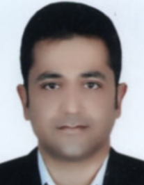 هادی انصاری