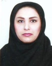 هدیه صباغ پور سبزه میدانی