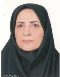 الهه مروی